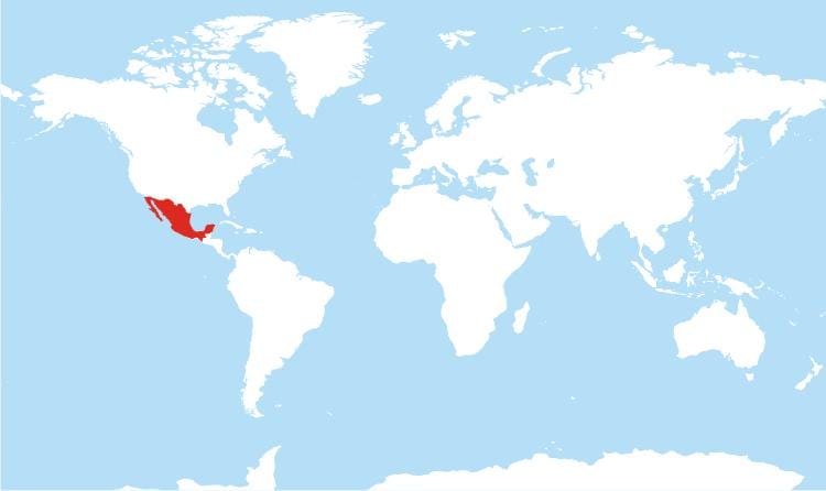 mapa Mexika globální