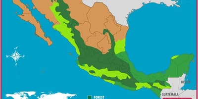 Mapa Mexika lesy