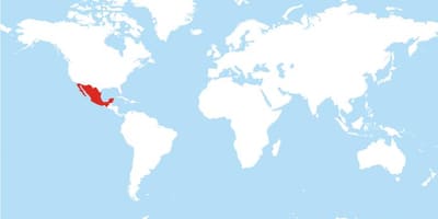 Poloha Mexika ve světě mapa