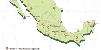Zika Mexiko mapa